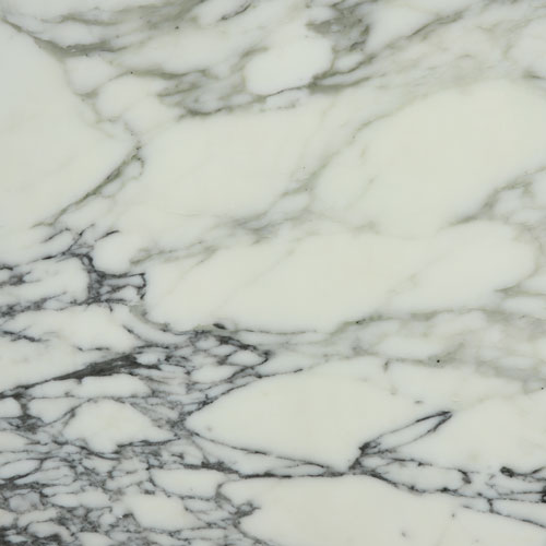 Calacatta Arabescato marble swatch