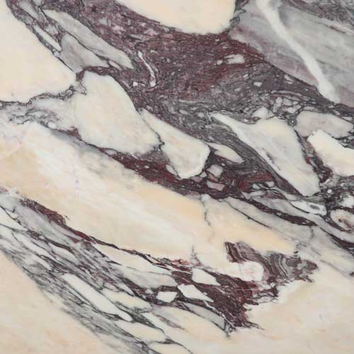 Calacatta Viola marble swatch